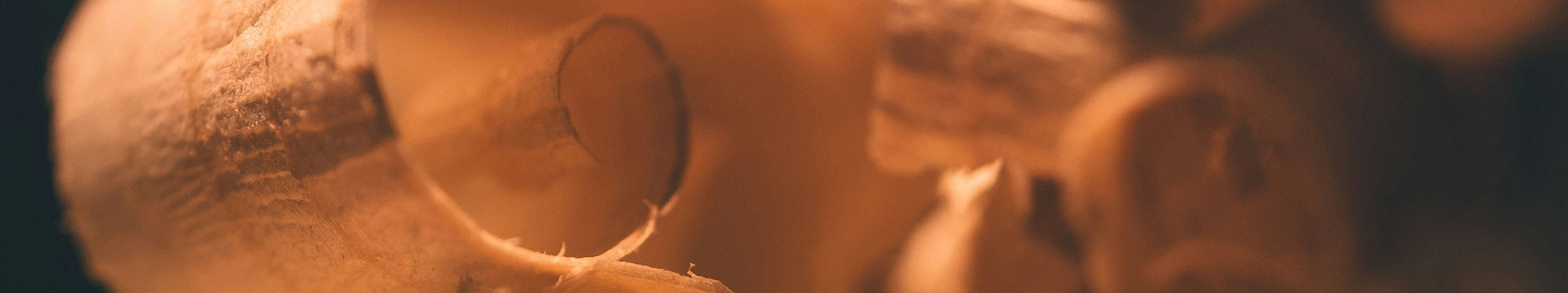 Vista panorámica de la madera y aserrín en Scarbol Maderas en Federación, Entre Ríos